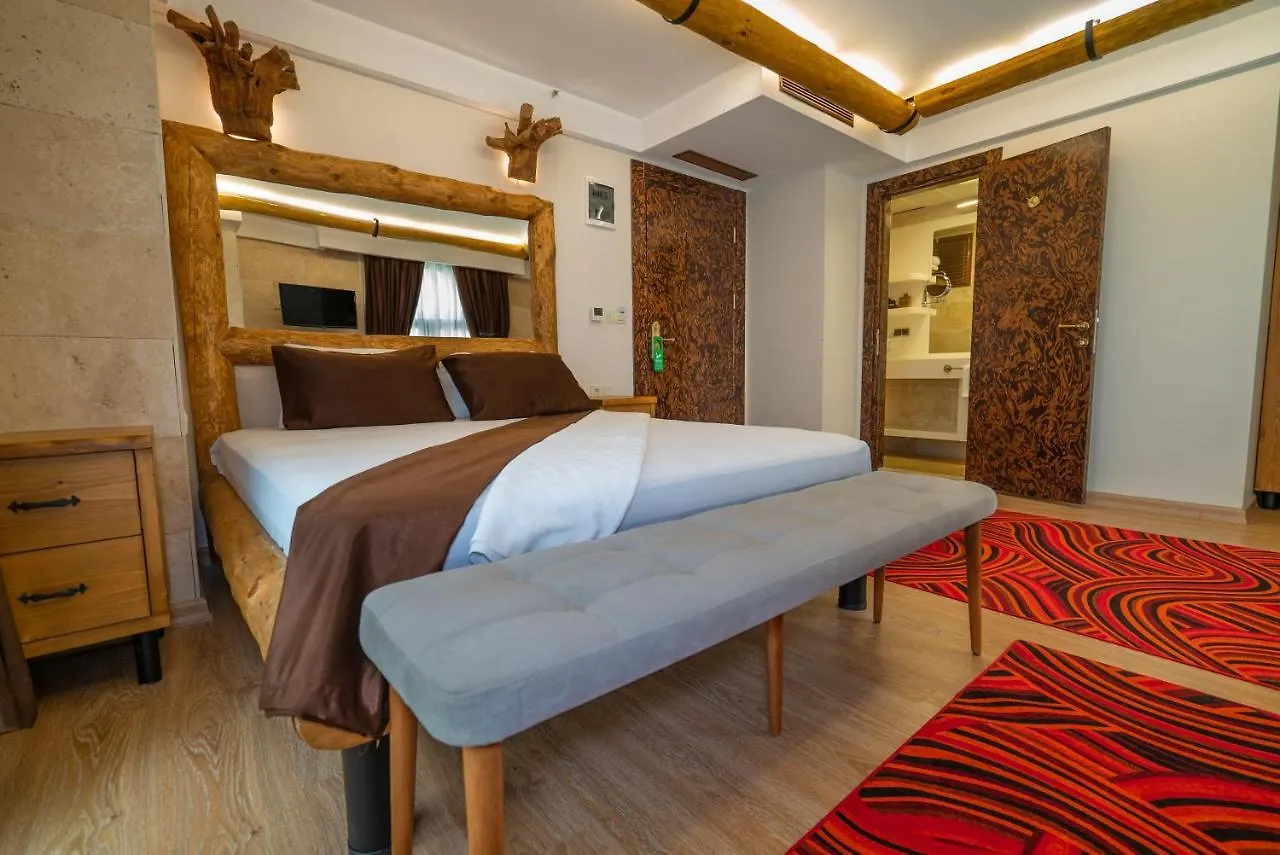Pasha Palace Hotel Istanbulská provincie 3*,  Turecko